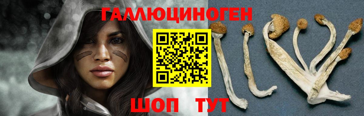 Галлюциногенные грибы ЛСД  Псилоцибиновые грибы мухоморы  Людиново  Вход с VPN 